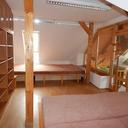 Guest house Ubytovani V Parazoo Vlasim
